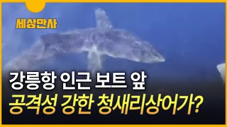 [세상만사] \