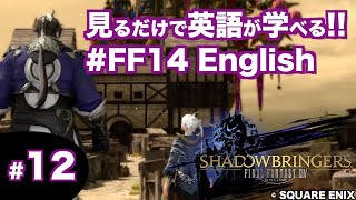 【ゲームを見るだけで英語が学べる!! FF14/漆黒】アルフィノと罪喰いに襲われている老婦人を助ける回