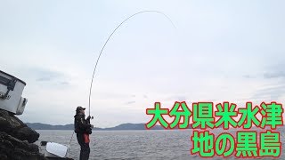 大分県米水津の磯で釣り納め後編です