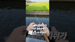 베이트피쉬 보다 더 튀어 보자 #배스낚시 #루어낚시 #bassfishing #lurefishing #fishing #배스 #루어 #バス釣り #ルアー釣り