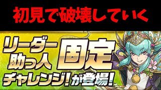 【パズドラ】リーダー固定チャレンジを破壊してく【初見】