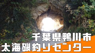 【釣り旅】千葉県鴨川市太海磯釣りセンター【fishing VLOG】