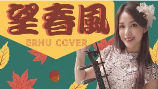 🎶望春風-作曲：鄧雨賢🎶二胡演奏Erhu cover 胡琴姐姐-經典台語老歌