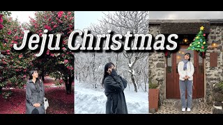 두 달 지난 제주 크리스마스에서 생긴일 🎄 폭설 후 제주 1100고지 🗻  | 🌺동백포레스트 | 제주 해수욕장⛱️ |  제주소품샵 | 환승연애2