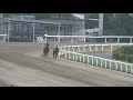 20180406川崎競馬２歳能力試験