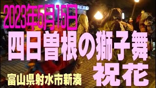 令和５年(2023年)四日曽根の獅子舞  祝花（富山県射水市新湊）