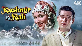 Kashmir Ki Kali (4K) : Bollywood Old Classic Movie | कश्मीर की कली | Shammi Kapoor | Sharmila Tagore