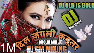 ❤Dil Junglee Kabootar Dj Love Song ! दिल जंगली कबूतर Dj GM Mixing