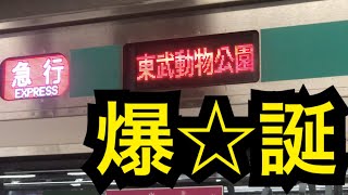 人身事故により急行トブコ行き爆誕！