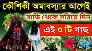 কৌশিকী অমাবস্যার আগেই বাড়ি থেকে সরিয়ে ফেলুন এই ১ টি গাছ | #koushikiamavasya2022