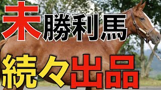 JRAに残るハードルは非常に高い！サラオクに未勝利馬が続々と出品。