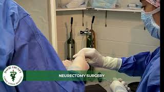 DCLAH Services - Neurectomy Surgery