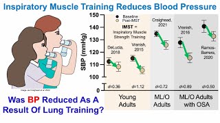 Reduced Blood Pressure: Was It Caused By Lung Muscle Training?