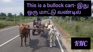 மாட்டு வண்டில் - Bullock cart