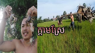 ធ្វេីអន្លង់ដាក់ក្តាមស្រែ