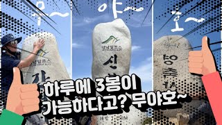 영남알프스 ㅣ 9봉인증 ㅣ 산행 ㅣ 영축산 ㅣ 신불산 ㅣ 간월산 ㅣ 하루3봉인증 100대명산 l 산으로간백정ep.1