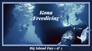 FREEDIVING THE KONA COAST, HAWAII: Big Island Trip Day 1 \u0026 3 - Dolphins, Mantas, Sharks, and Caves