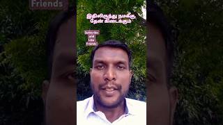 தேன் நமக்கு இதிலிருந்து கிடைக்கும் | Up and Down Tamil #புதிர் #கண்டுபிடி #விடுகதை #shorts