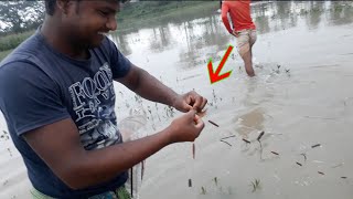 শিং মাছ শিকার কারেন্ট জাল বা পাতা জাল দিয়ে ফাঁদ পেতে মাছ ধরার কৌশল fishing video within a net fishi