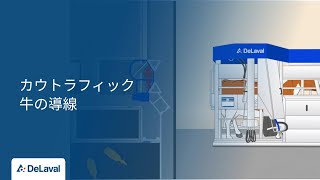 デラバル｜カウトラフィック｜牛の導線｜DeLaval