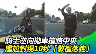 騎士逆向拋車擋路中央！尷尬對視10秒竟「敬禮」落跑？！｜@setn