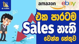 Amazon to eBay Dropshipping|එක පාරටම Sales Drop වෙන්නෙ ඇයි? | How to work eBay algorithm Work #eBay