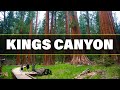 Top 10 Things To Do In Kings Canyon National Park