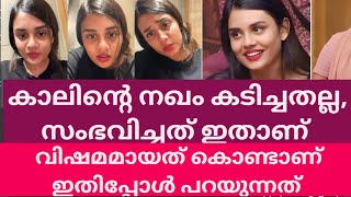 കഴിഞ്ഞ ദിവസ്സം സൈബർ ആക്രമണം നേരിട്ട് ആത്മഹത്യ ചെയ്ത കുട്ടിയുടെ അവസ്ഥയാണ് എനിക്ക് ഇപ്പോൾ