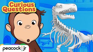 Are There Still Dinosaurs? | CURIOUS QUESTIONS
