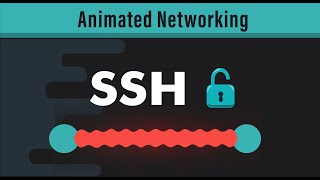 What is SSH? Secure Shell Explained | CCNA & CompTIA Network+