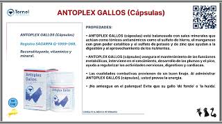 ANTOPLEX GALLOS (cápsulas)