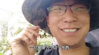 花市卖花，一天不如一天，淡季的感觉继续加重，无奈中。