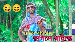 🤣দাদির পাণ গাছ ছাগলে খাইছে🤣||ভিডিওটি শেষ পর্যন্ত দেখুন মজা পাবেন🤣#dadi #entertainment #viraldadi