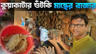 কুয়াকাটার শুঁটকি বাজার | Dry Fish market Kuakata | Explorer Shibaji in Bangladesh 2022