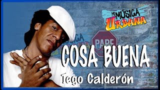 Cosa Buena - Tego Calderón - Track Audio