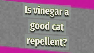 Is vinegar a good cat repellent?