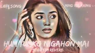 Hum tumko nigahon mein ( Slowed + Reverb ) Hindi song || luffi song ||new song