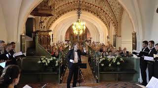 Kyiv Chamber Choir Very Live, the Full Concert in Birkeroed Church, Denmark on August 18, 2022