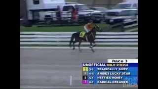 August 4, 2014 - Racing Under Saddle - Grand River Raceway