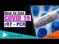 How to test COVID 19 | rRT - PCR