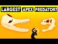 What’s The Largest Apex Predator To Have Ever Existed? DEBUNKED