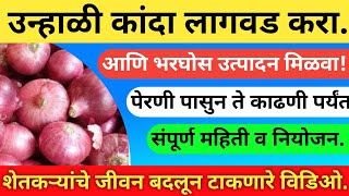 उन्हाळी कांदा ll unhali Kanda ll उन्हाळी कांदा लागवड ll #कांदा #उन्हाळीकांदा #onion ll डिजिटल शेतकरी