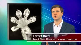 Gecko Feet Don't Display Evolution | David Rives