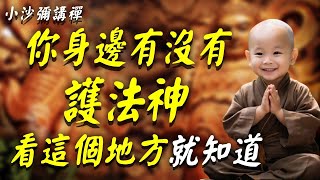 怎樣知道自己身邊有“護法神”？師兄分享親身經歷，揭露“護法神”顯靈方式！ #小沙彌講禪  #阿弥陀佛  #南無阿彌陀佛  #菩薩 #佛學  #佛陀  #福報  #功德