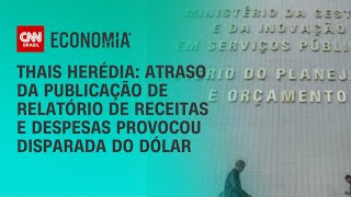 Thais Herédia: Atraso da publicação de relatório de receitas e despesas provocou disparada do dólar