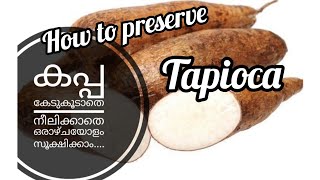 How to preserve Tapioca|കപ്പ ദിവസങ്ങളോളം കെടുകൂടാതെ സൂക്ഷിക്കാം...