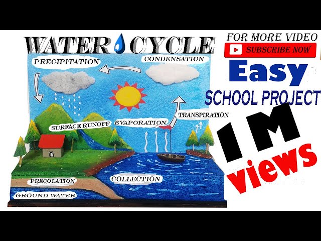 Water Cycle Projects For 7th Grade