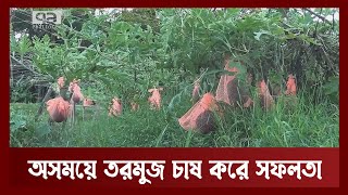 মালচিং পদ্ধতি ব্যবহার করে অসময়ে তরমুজ উৎপাদন | News | Ekattor TV