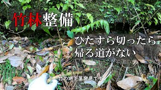 竹林整備　山の竹をひたすら切ったら帰り道が無くなった