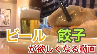 香港飯Vol.206　餃子とビールが欲しくなる動画　小辣椒（Little Chilli）＠北角